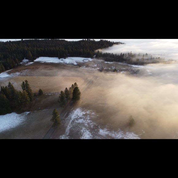 Meet your Posher, Phillip - Picture 4 of 8